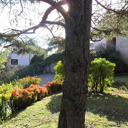Apartament I Tre Faggi Albese Con Cassano Zewnętrze zdjęcie